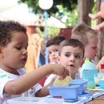 Volta às aulas - Educação Infantil